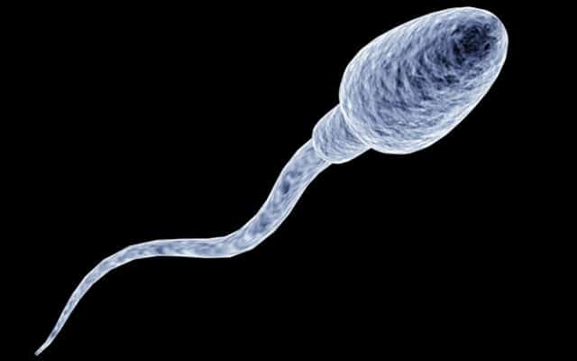 How Much Do You Know About Man Milk?