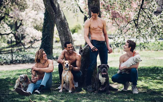 These Models Want You to Adopt an Adorable Pooch