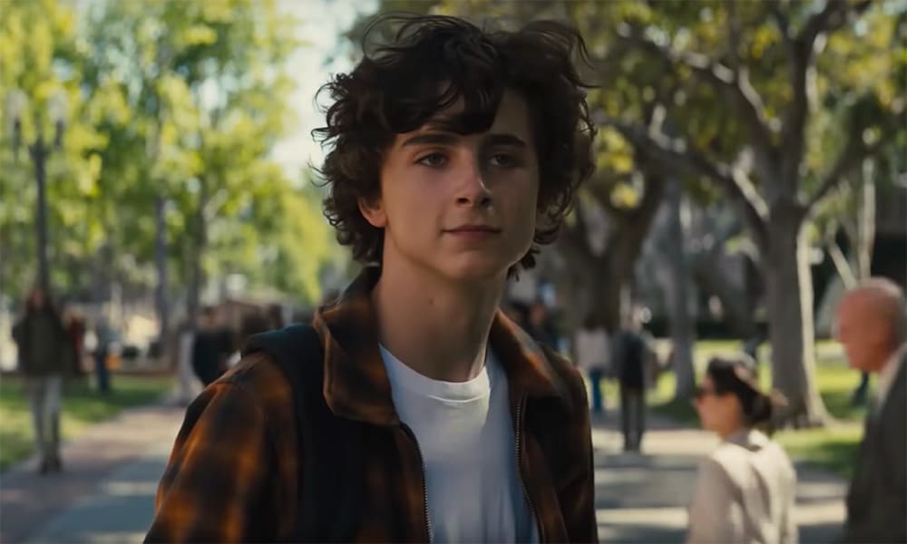 Timothée Chalamet Plays a Teen Meth Addict In ‘Beautiful Boy’