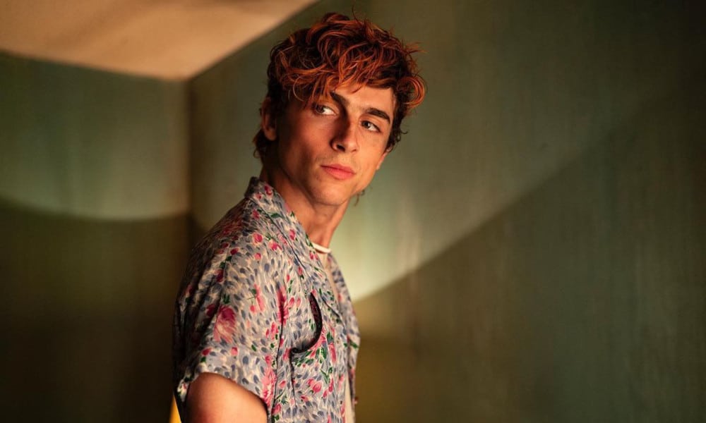 Timothée Chalamet Gets Handsy With a Man in ‘Bones and All’