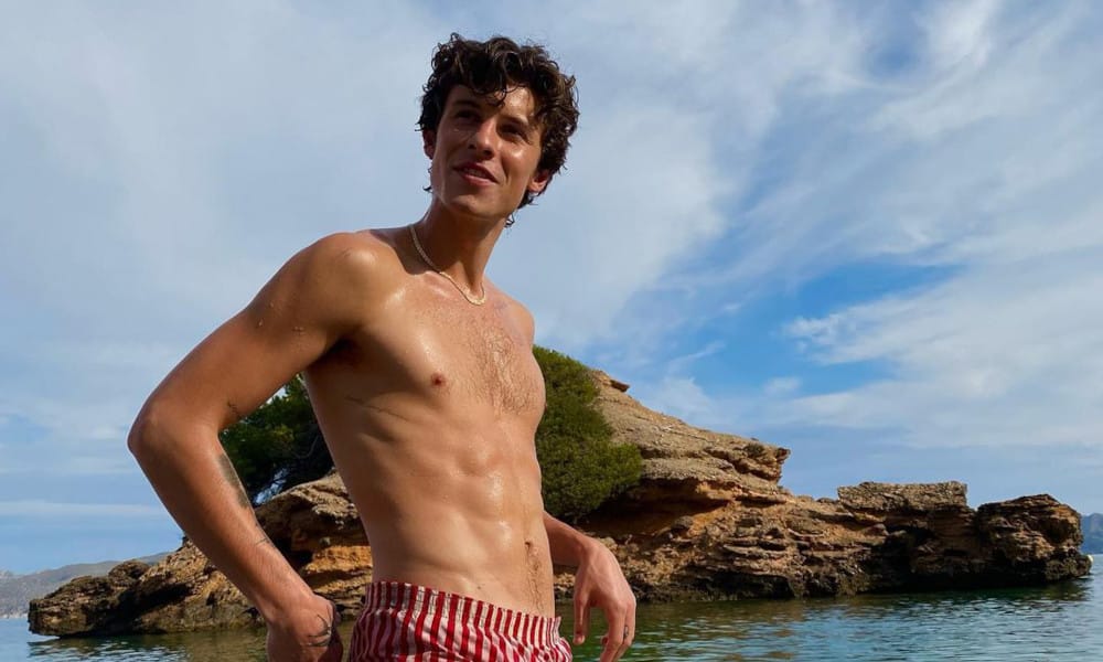 Shawn Mendes Buzzed Off All His Hair