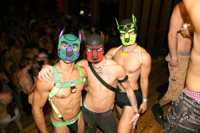 Puppies are always welcome at Sniffies Function on Fire Island at Pavilion - Photo Credit Julian Lazaro for Tryst Hospitality