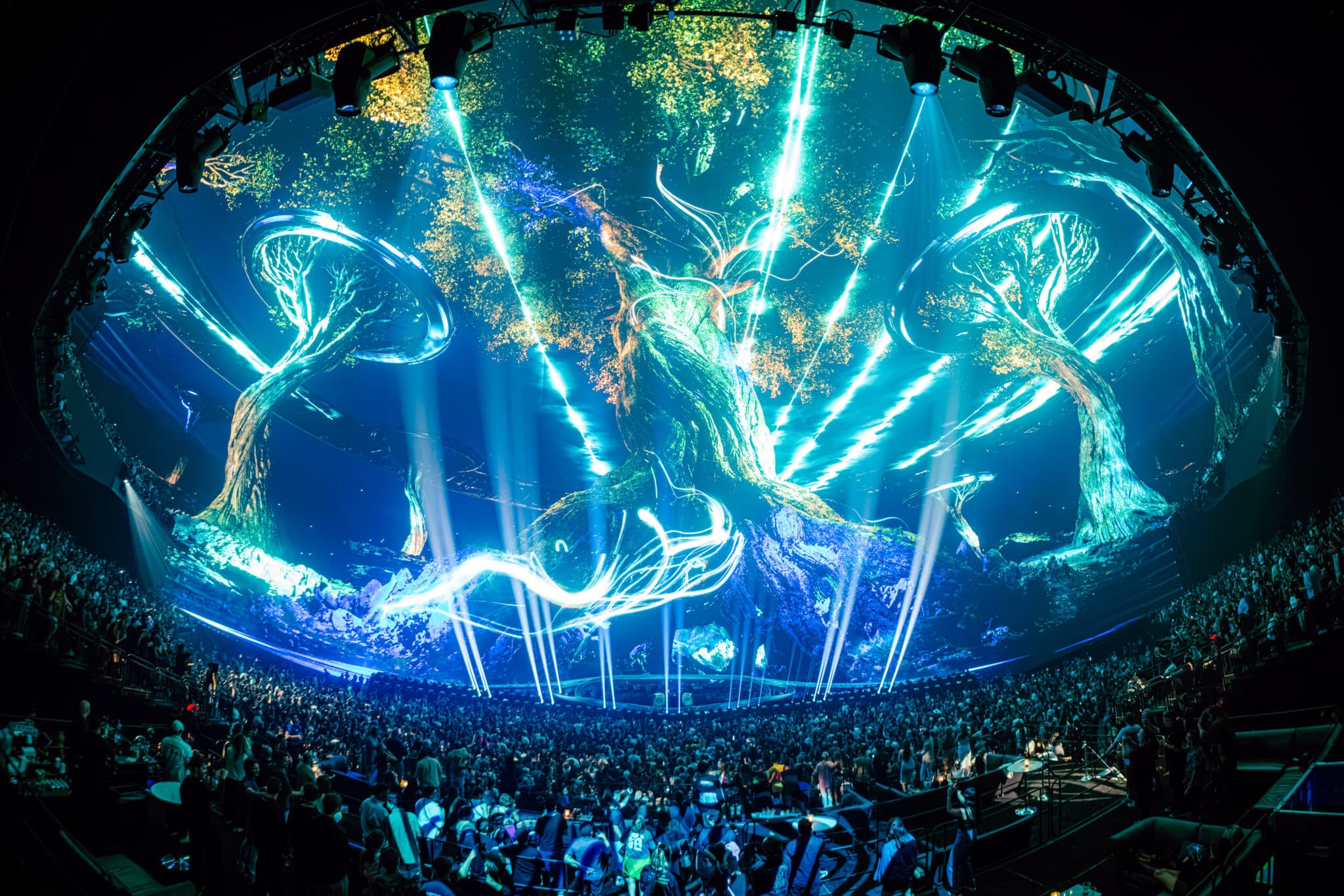 Tomorrowland and Insomniac's Unity show. Photo: Jake West for Unity