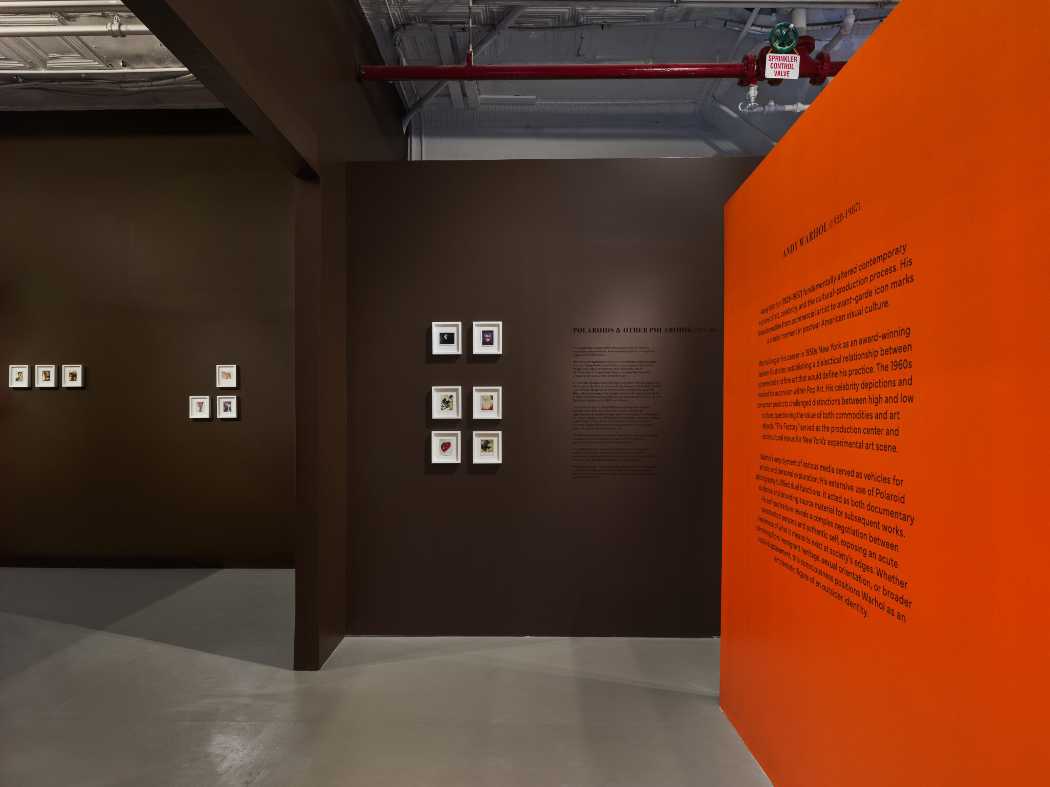 The Grove Foundation Warhol exhibit. Photo: ALMA